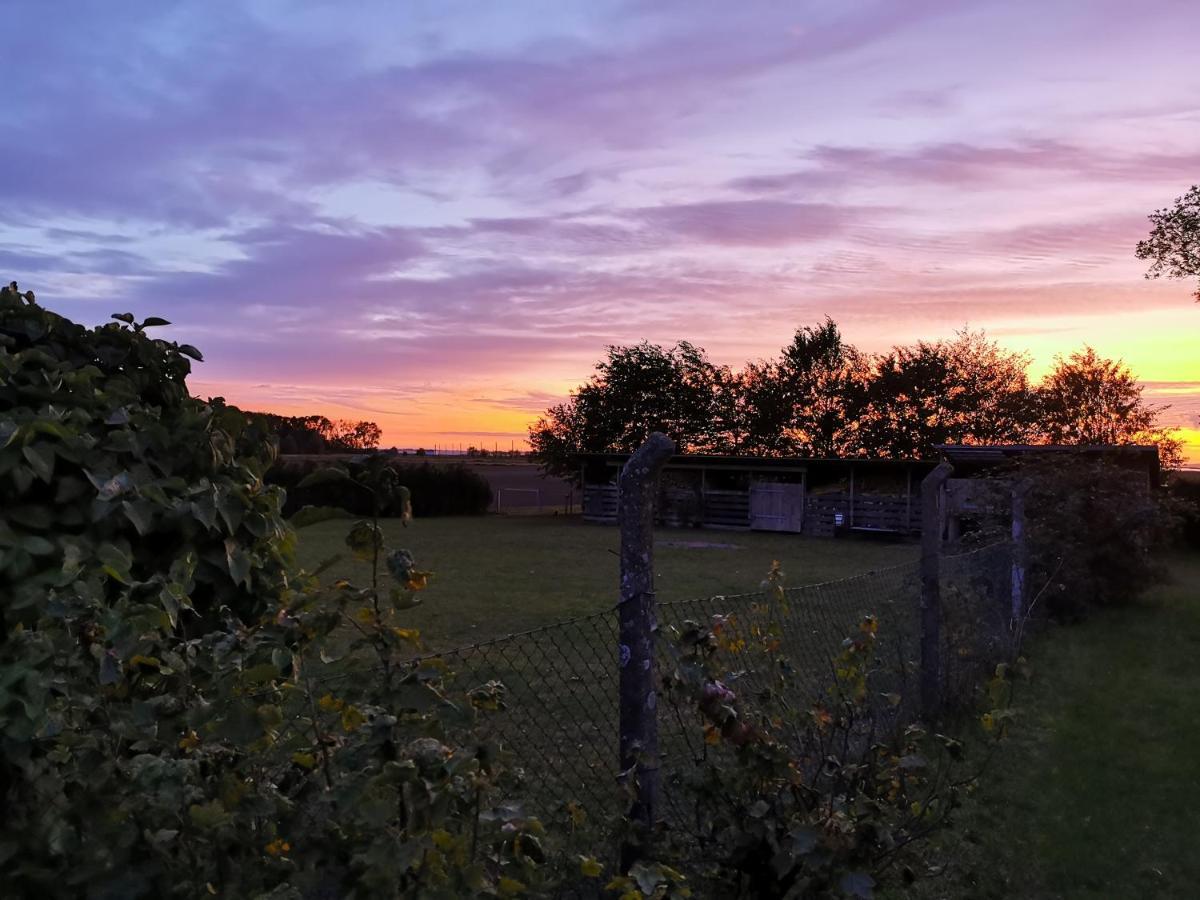 Reet Landhaus Ruegen Ummanz エクステリア 写真