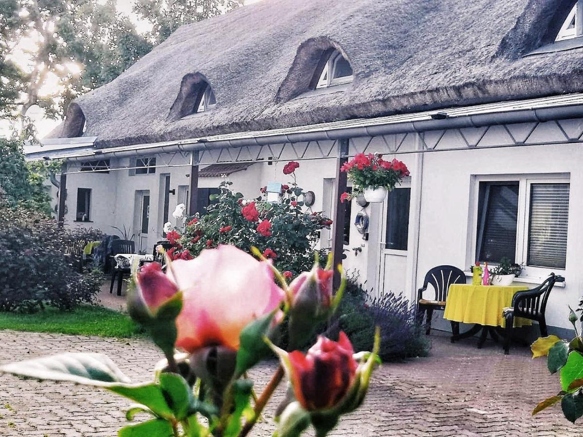 Reet Landhaus Ruegen Ummanz エクステリア 写真