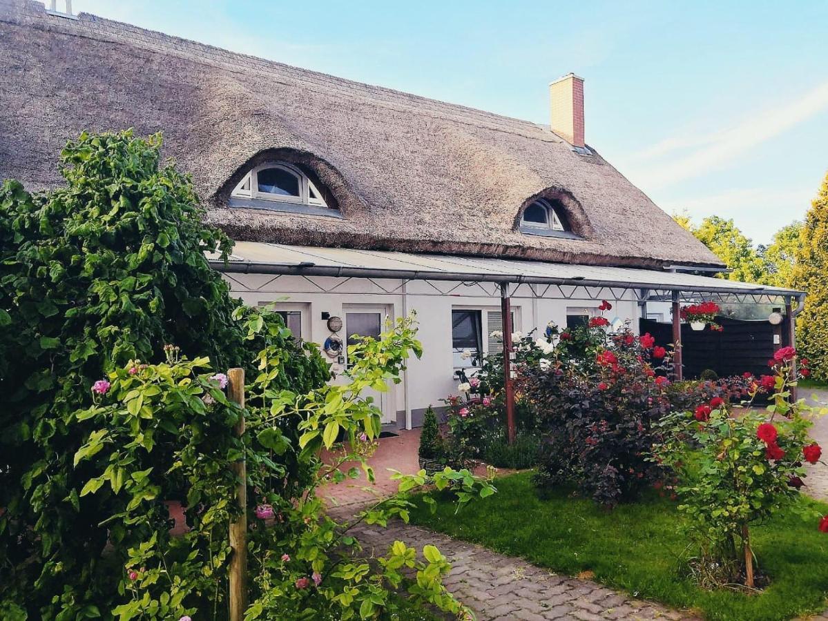 Reet Landhaus Ruegen Ummanz エクステリア 写真